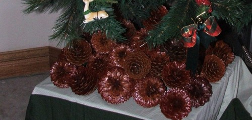 Pine Cones for Christmas Decorating Sydney Australia